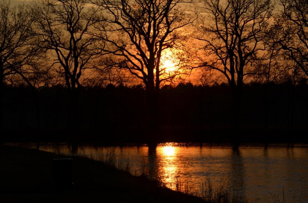 DSC 0030