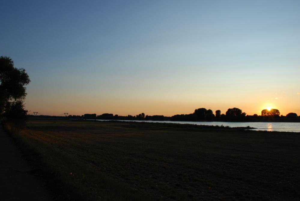DSC 0031