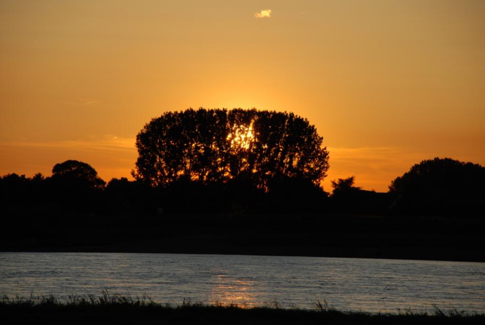 DSC 0033