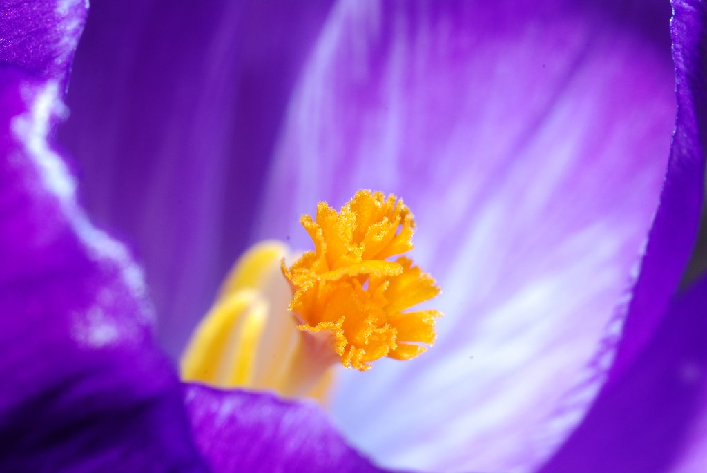DSC 0034 1024x685