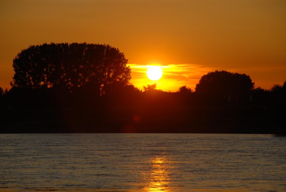 DSC 0036