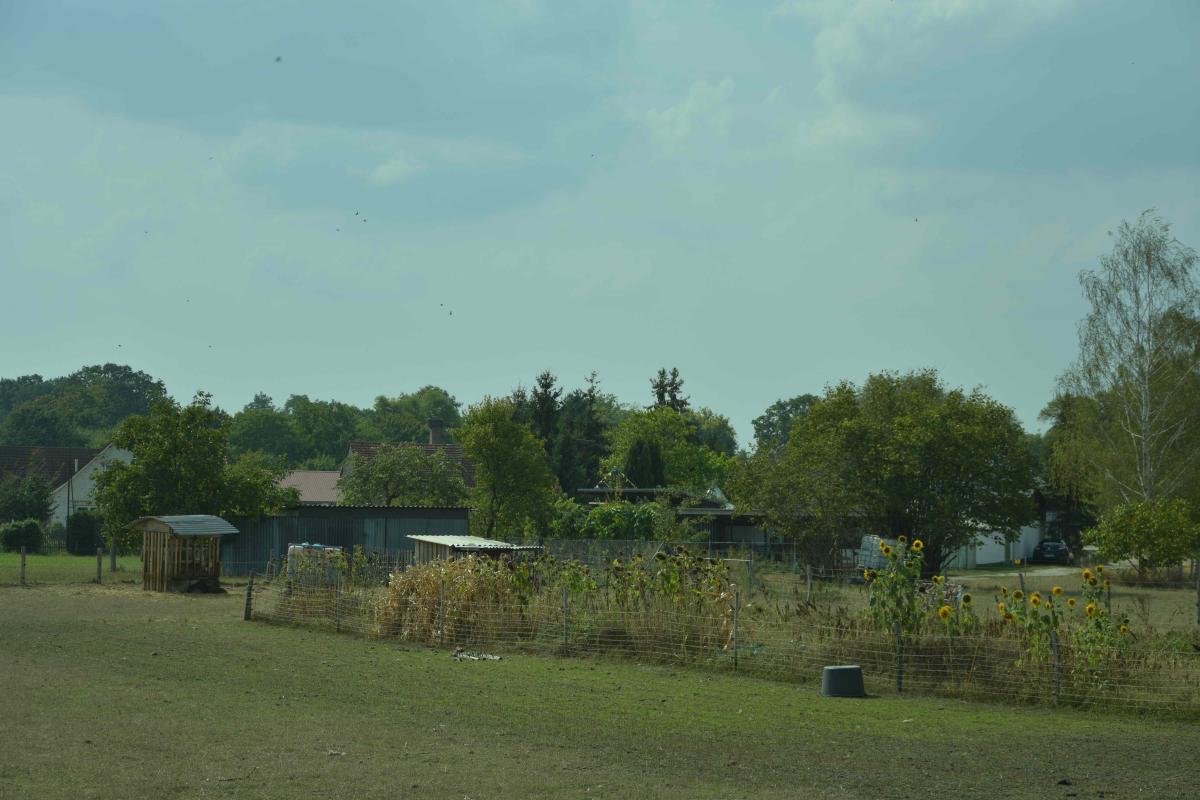 DSC 0043 Kopie