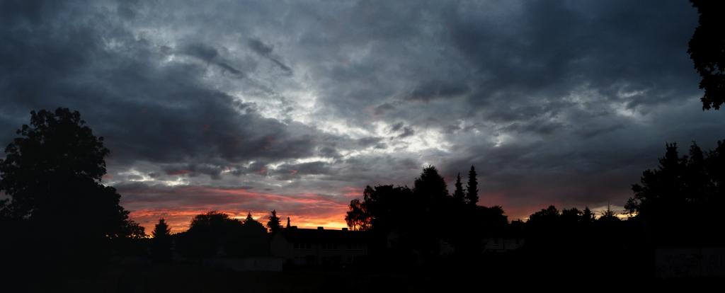 DSC 0043