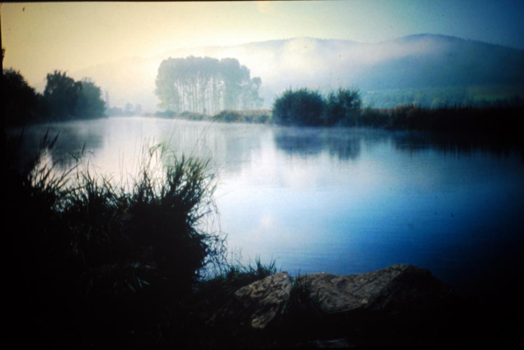 DSC 0046