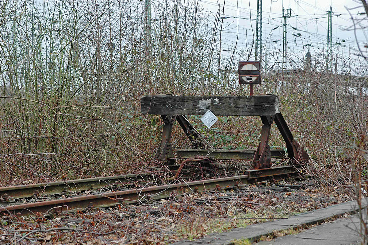 DSC 0048xl