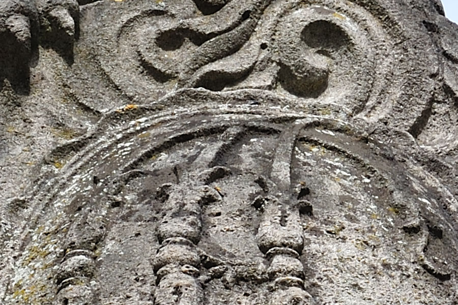 DSC 0055 crop
