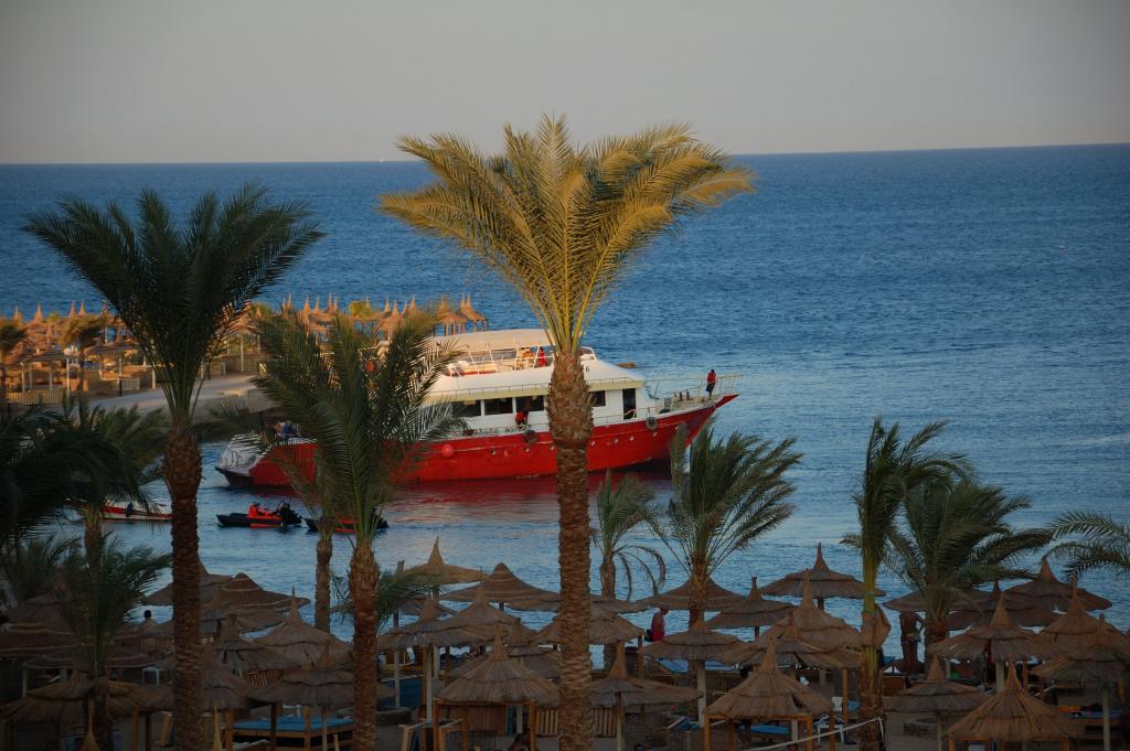 DSC 0056 01