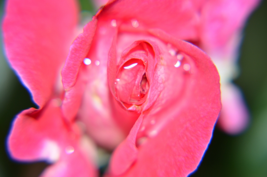 DSC 0056