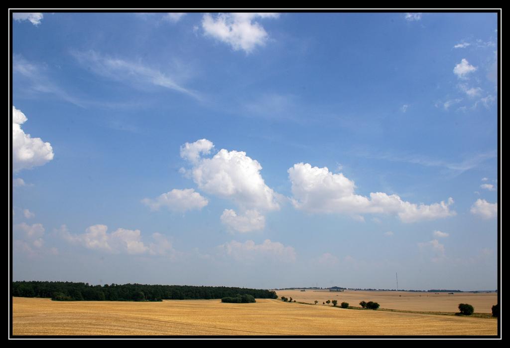 DSC 0056
