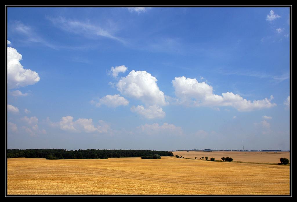 DSC 0057