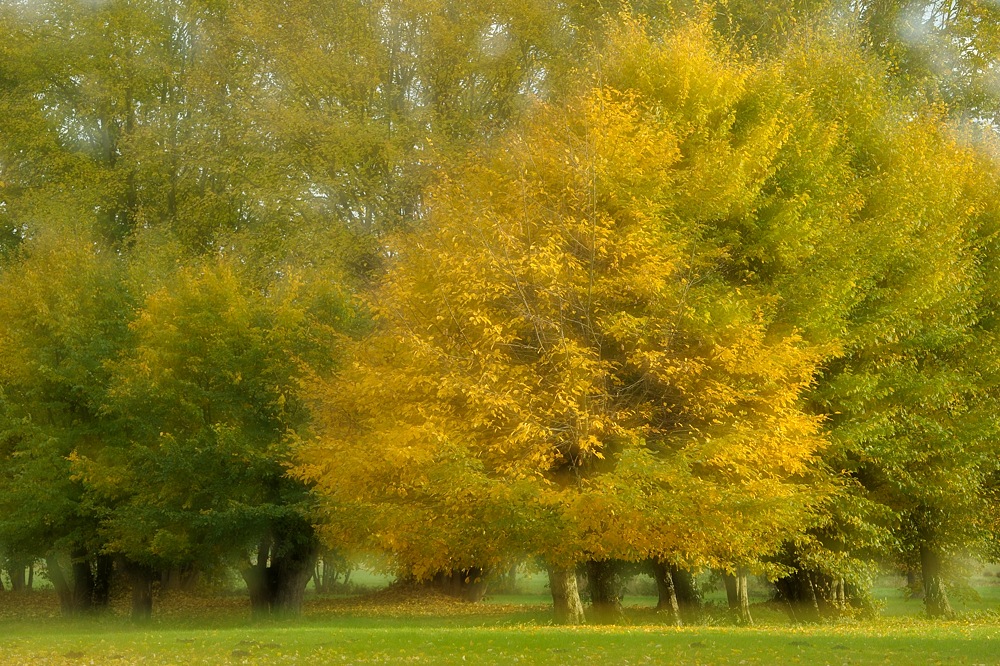 DSC 0057a