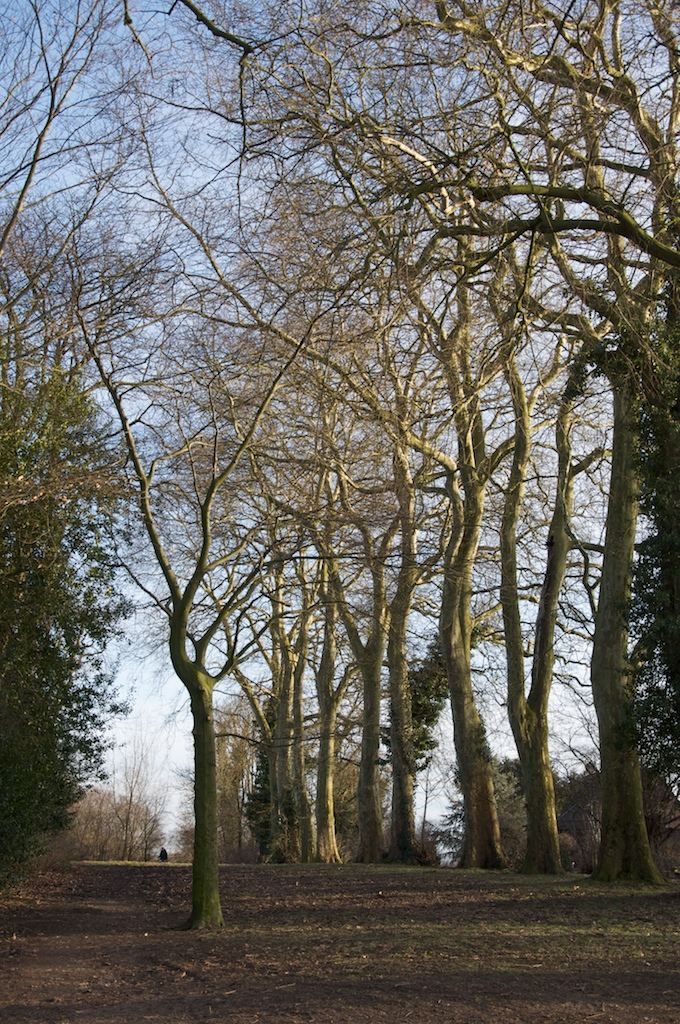 DSC 0058 1