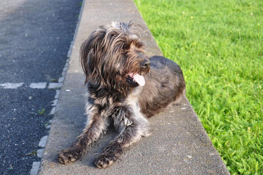 DSC 0059