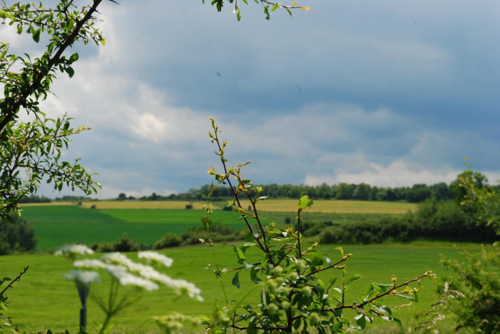 DSC 0062