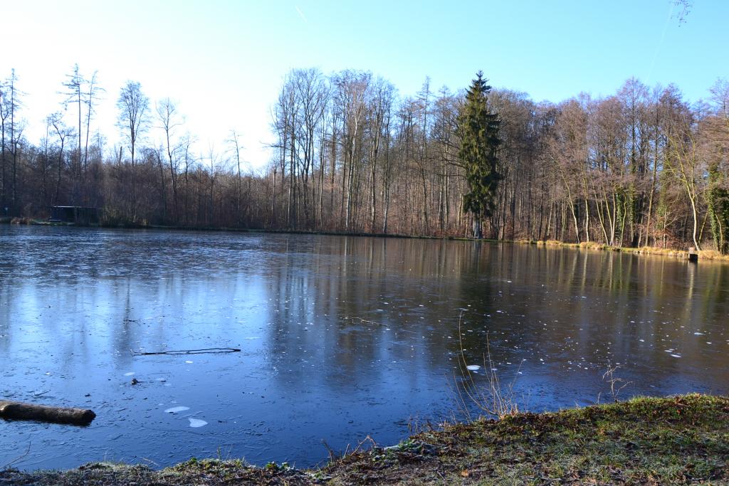 DSC 0064