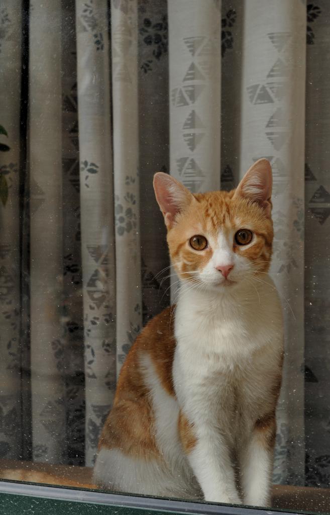 DSC 0065
