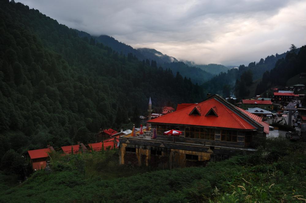 DSC 0072