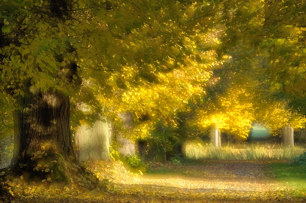 DSC 0072a