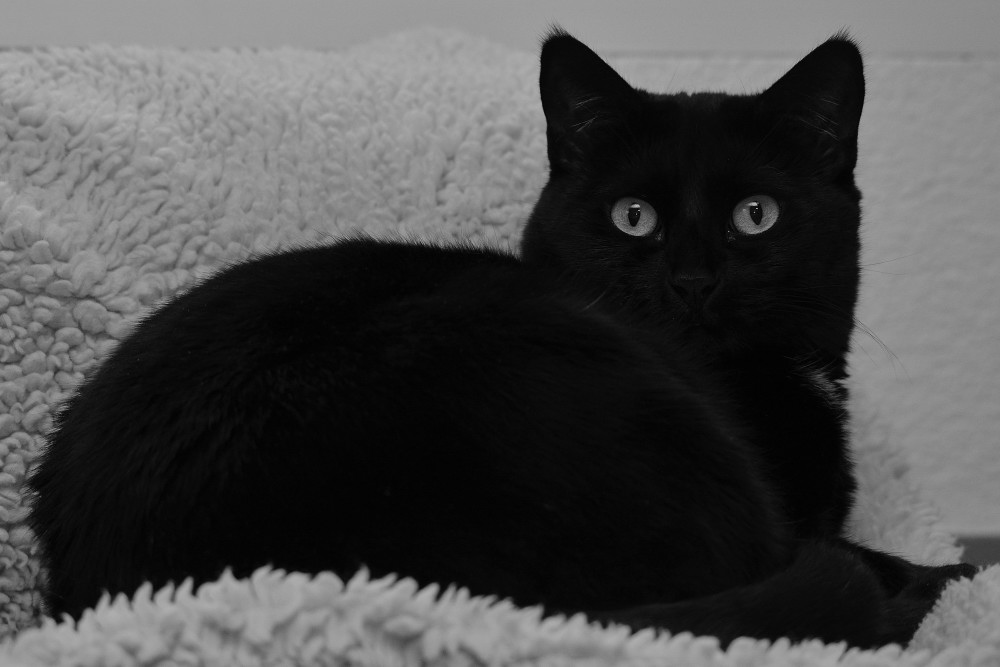 DSC 0075 02