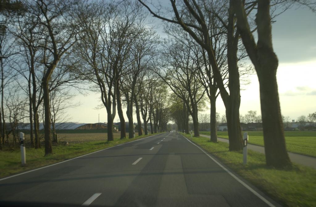 DSC 0080