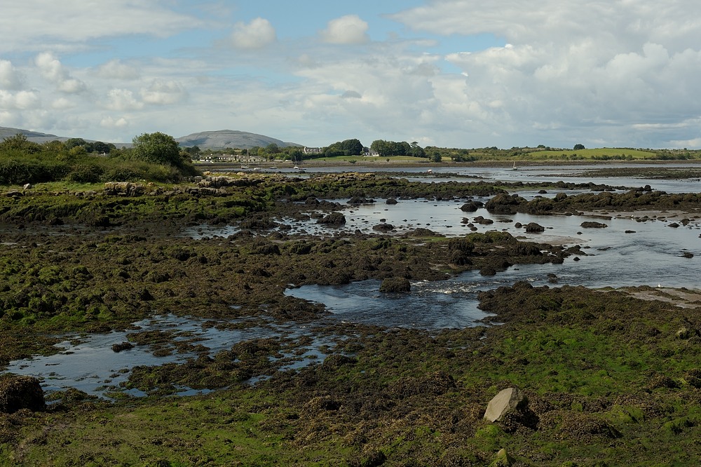 DSC 0081a