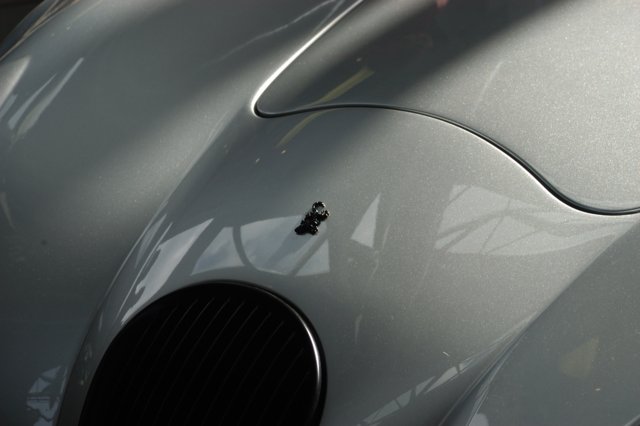 DSC 0089 640x426