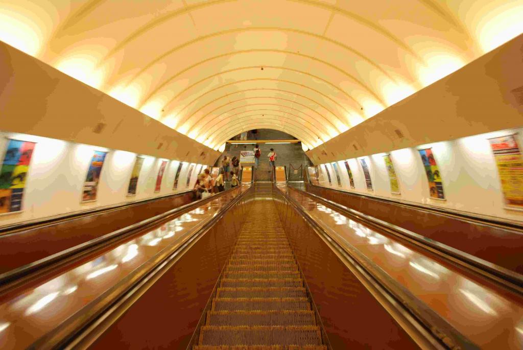 DSC 0091 v