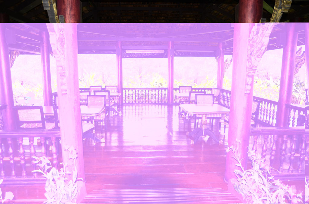 DSC 0100