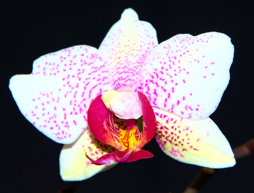 DSC 0115 01