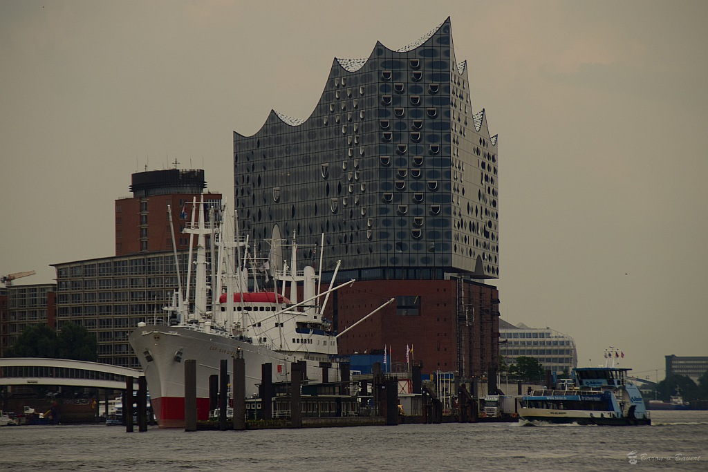 DSC 0115 62016