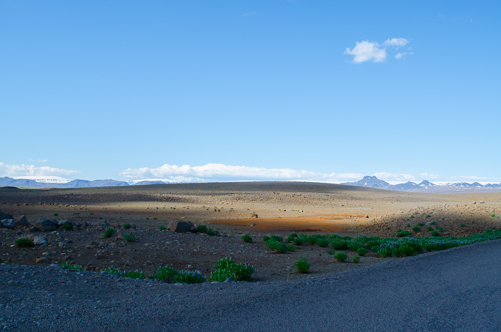 DSC 0122