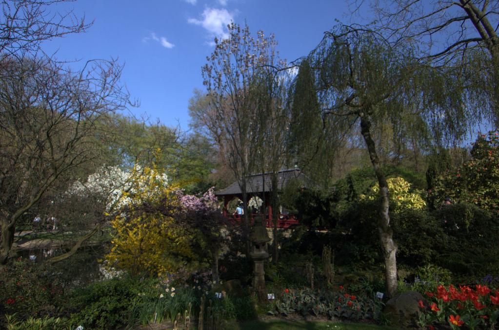 DSC 0124