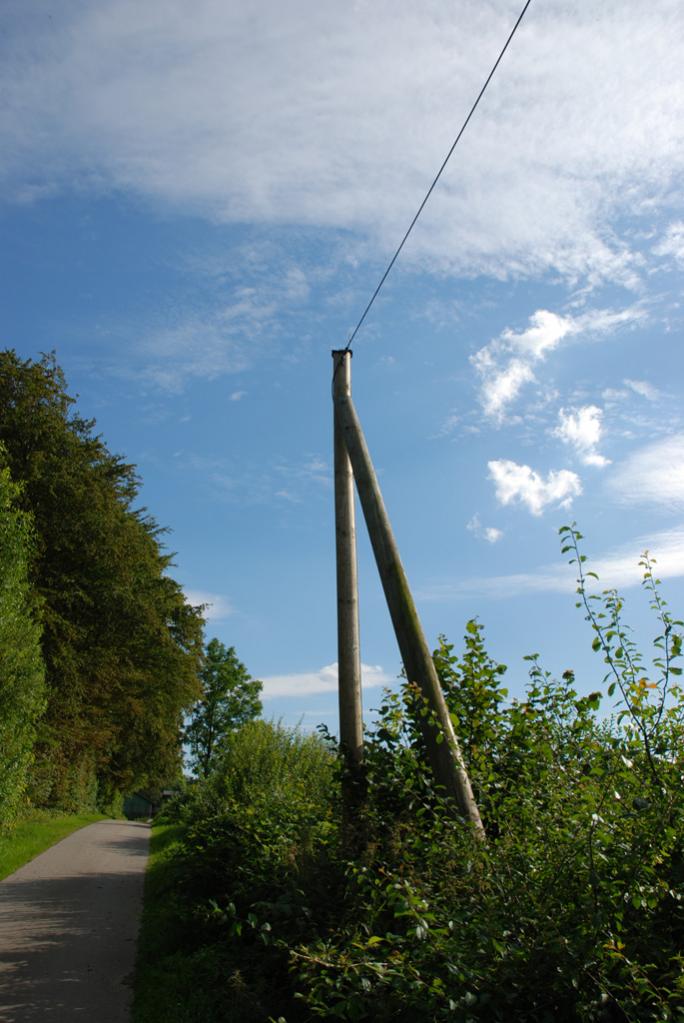 DSC 0124