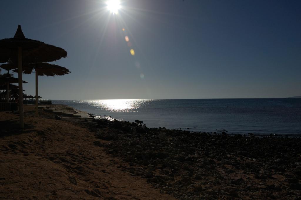 DSC 0133 01