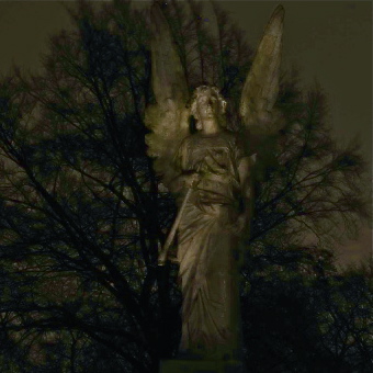 DSC 0157