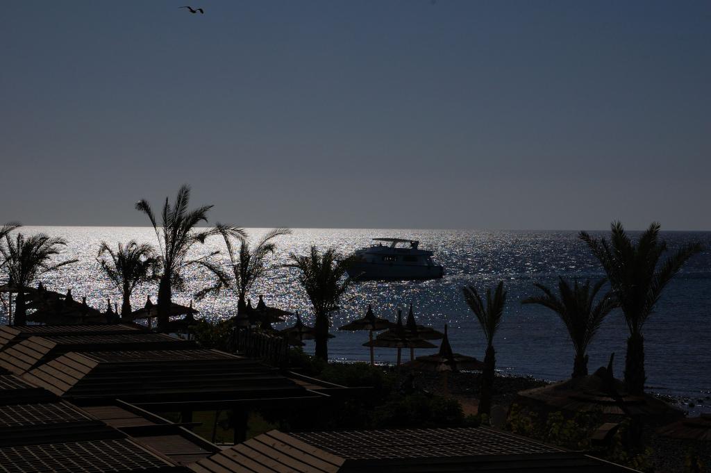 DSC 0159 01