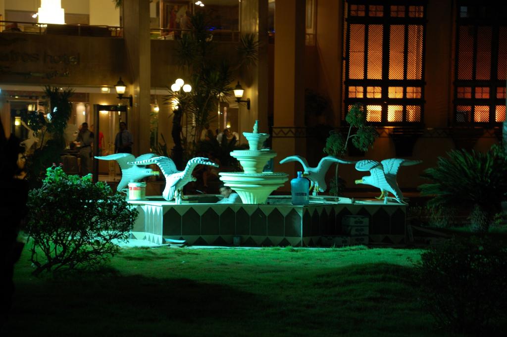 DSC 0177 01