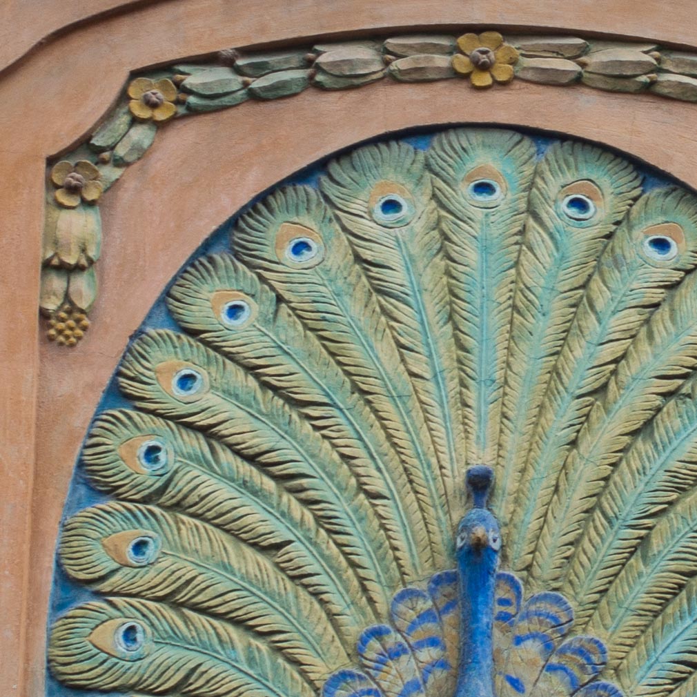 DSC 0181crop