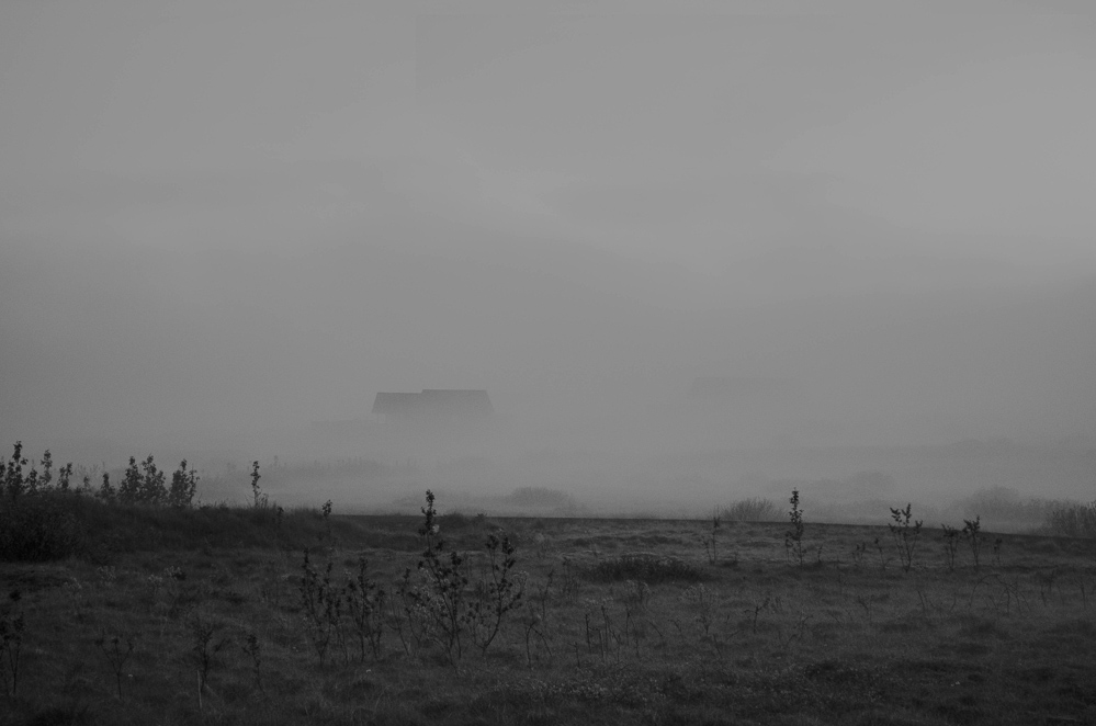 DSC 0193