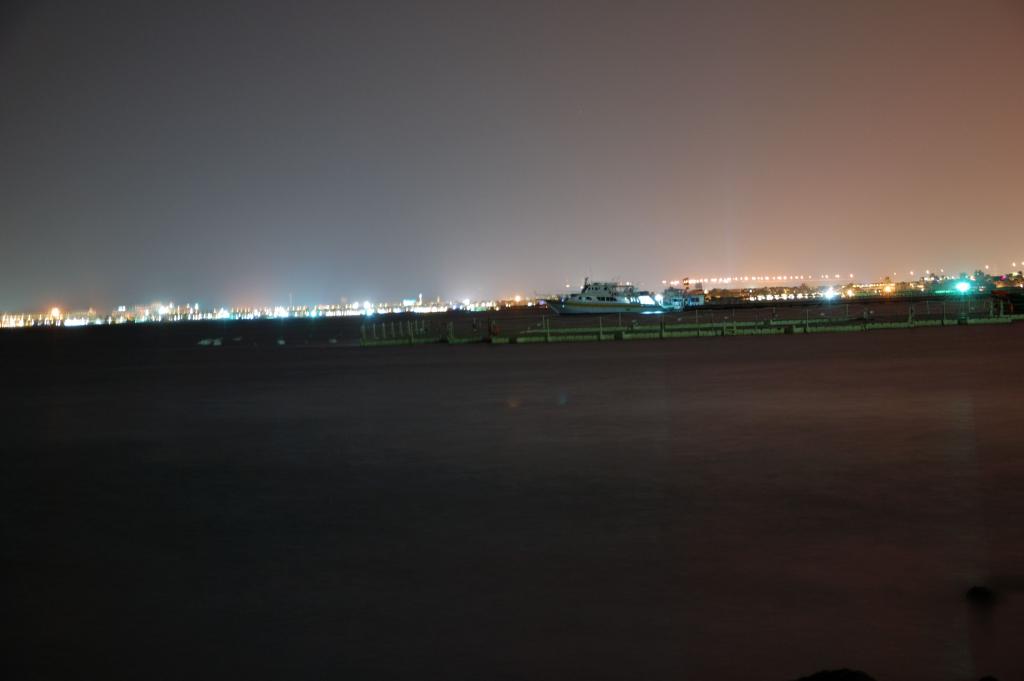 DSC 0202 02