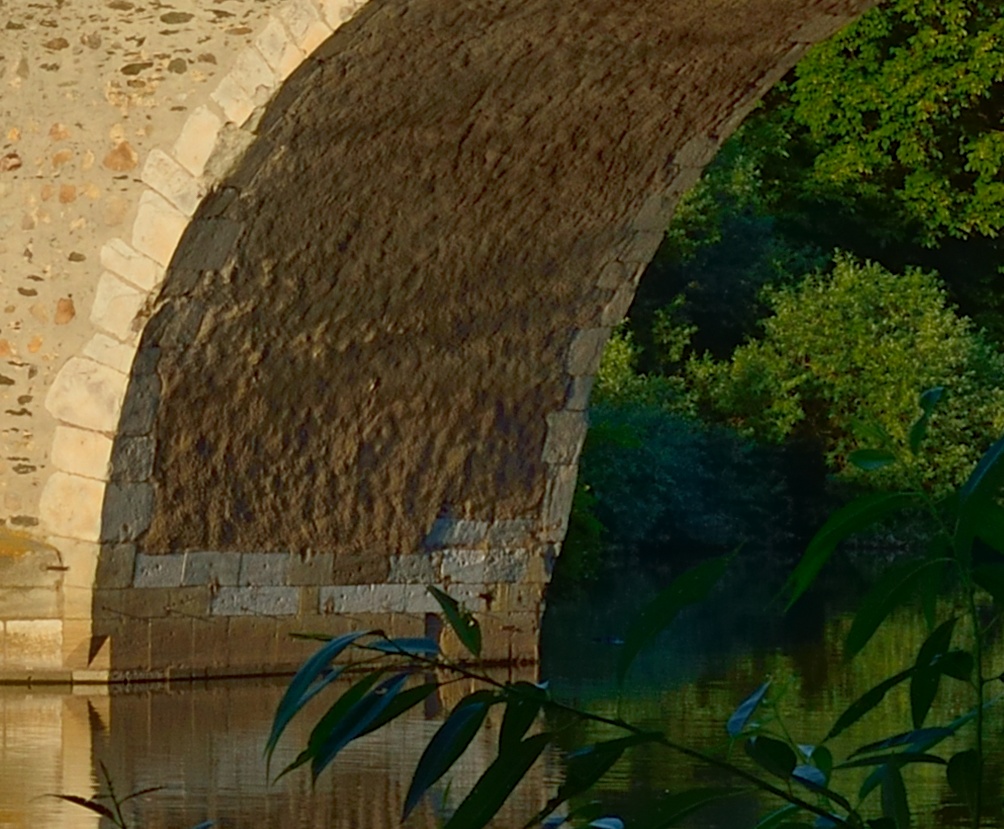 DSC 0207 100% NF-F
Limburg, Alte Lahnbrücke (100%-Crop)