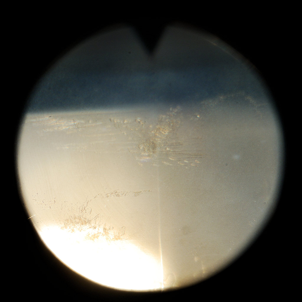 DSC 0250