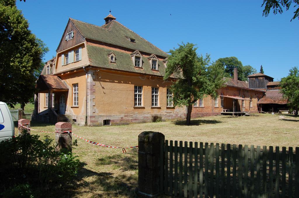 DSC 0251