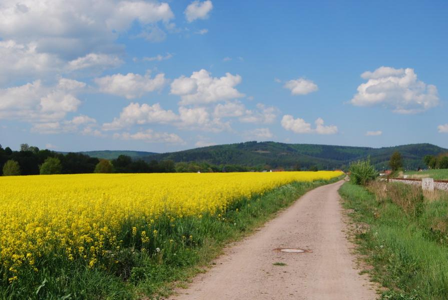 DSC 0255 Größenveränderung