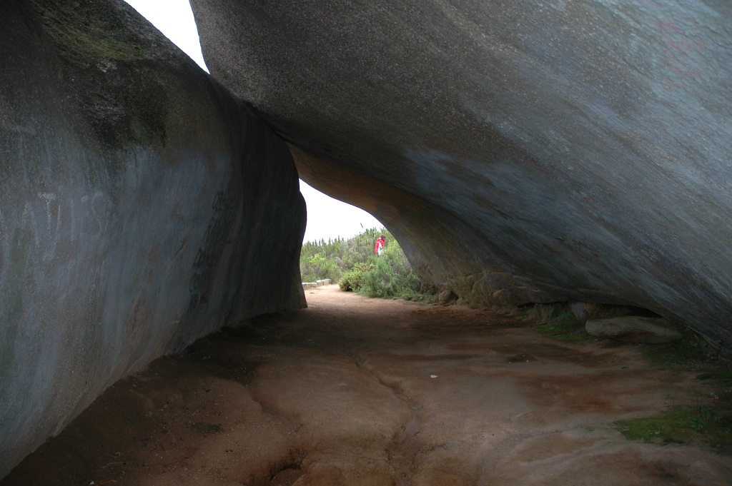 DSC 0257