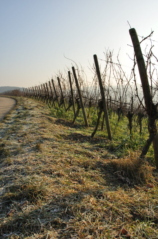 DSC 0279 02