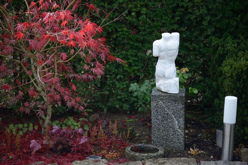 DSC 0297