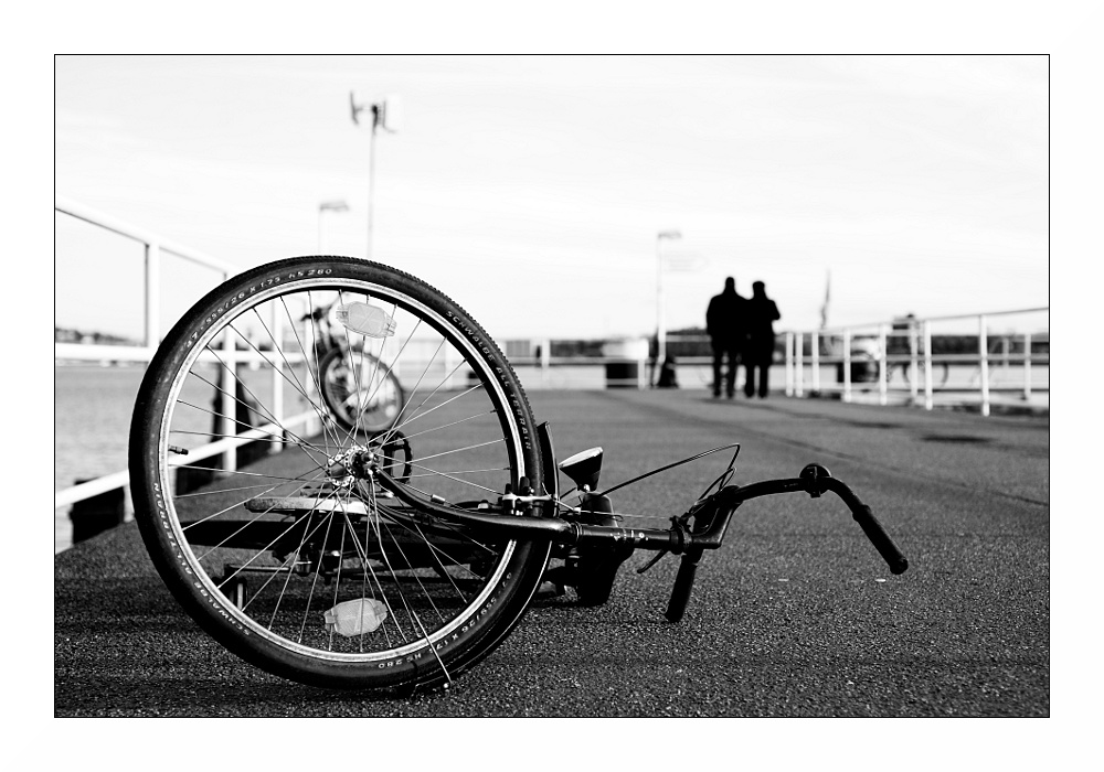 dsc 0302 sf