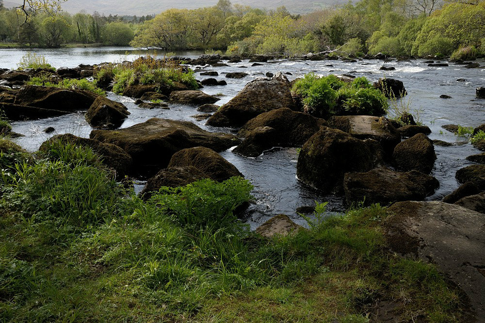 DSC 0316ab