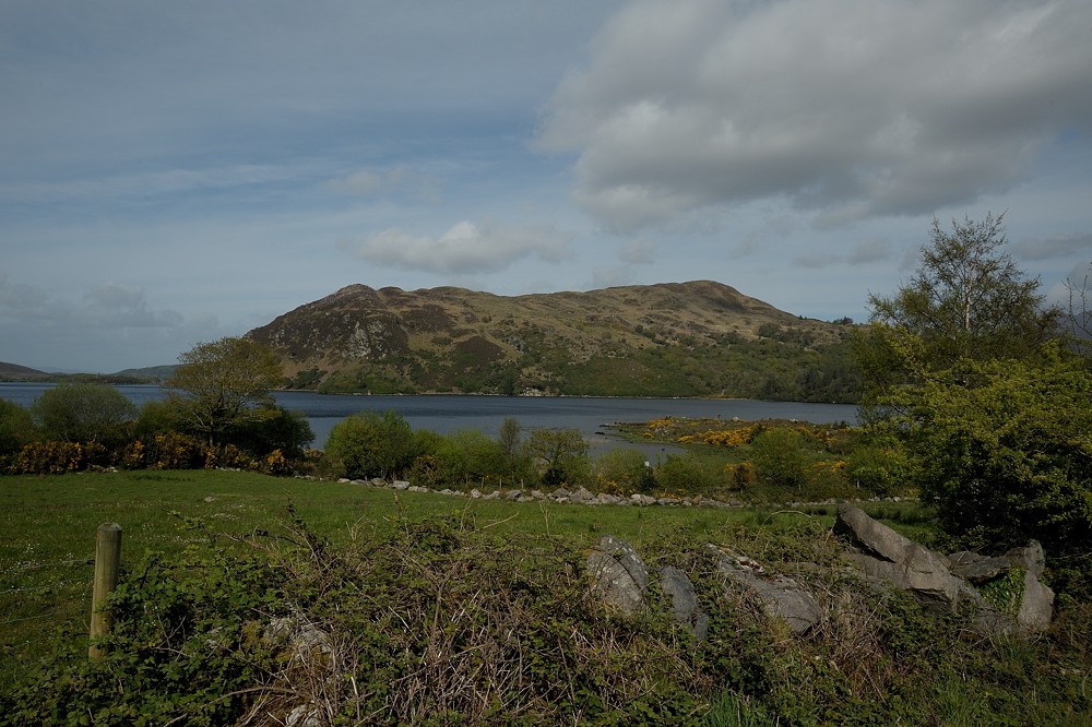 DSC 0326a